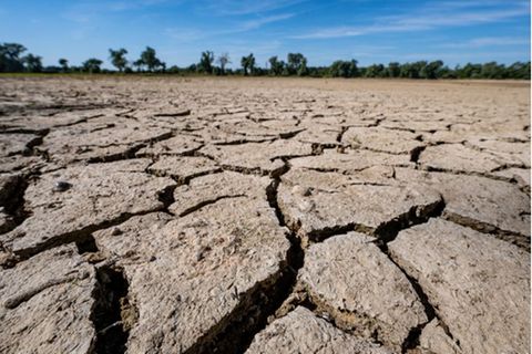 "Die letzten zehn Jahre sind trockener als der langjährige Trend", sagt der Agrarmeteorologe Andreas Brömser