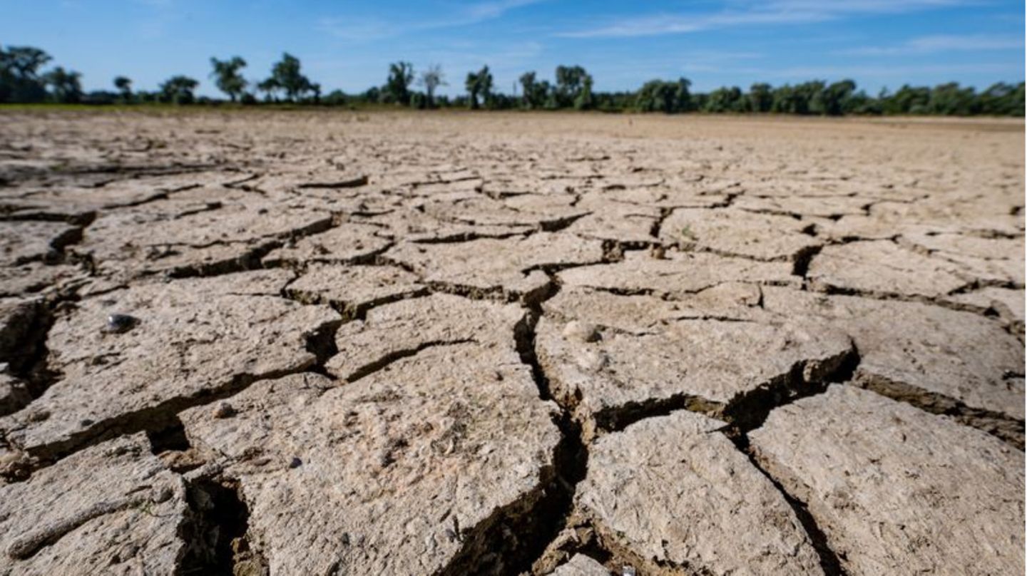 "Die letzten zehn Jahre sind trockener als der langjährige Trend", sagt der Agrarmeteorologe Andreas Brömser