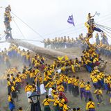 Den Baumstamm Reiten