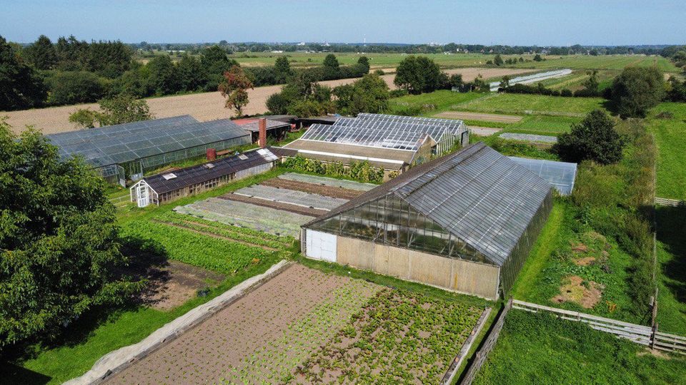 Solidarische Landwirtschaft: Die Solidarische Landwirtschaft Vierlande ging aus einer Gemüsegärtnerei hervor. Die Gewächshäuser zeugen davon Die Solidarische Landwirtschaft Vierlande ging aus einer Gemüsegärtnerei hervor. Die Gewächshäuser zeugen davon