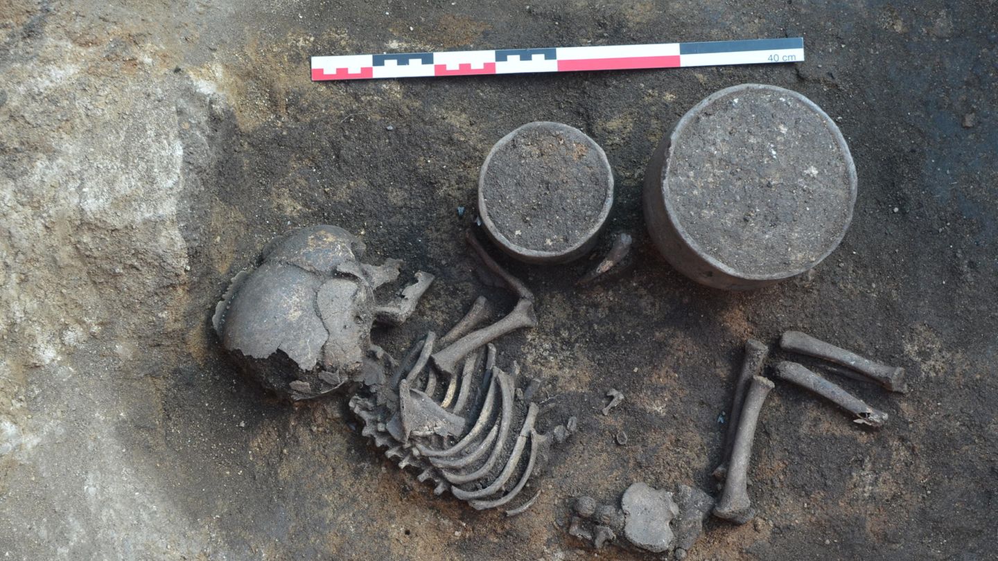 Einer von sechs Brüdern: Forschende haben die Genome von 32 in der südrussischen Steppe beigesetzten Menschen analysiert
