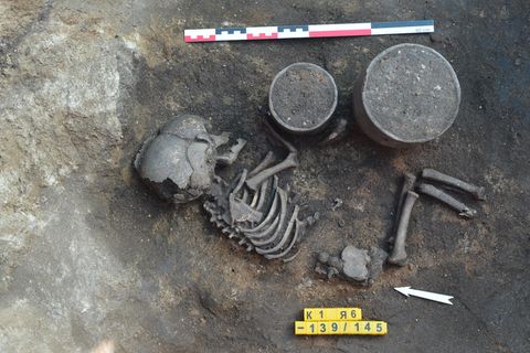 Einer von sechs Brüdern: Forschende haben die Genome von 32 in der südrussischen Steppe beigesetzten Menschen analysiert