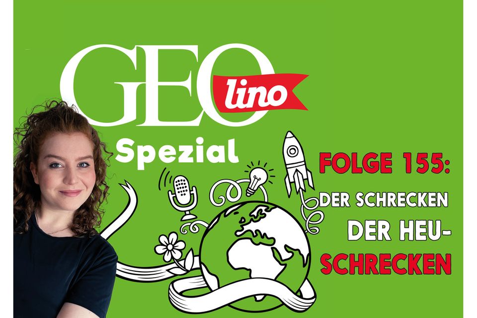 Das Thema in Folge 155 unseres Podcast GEOlino Spezial: Heuschrecken