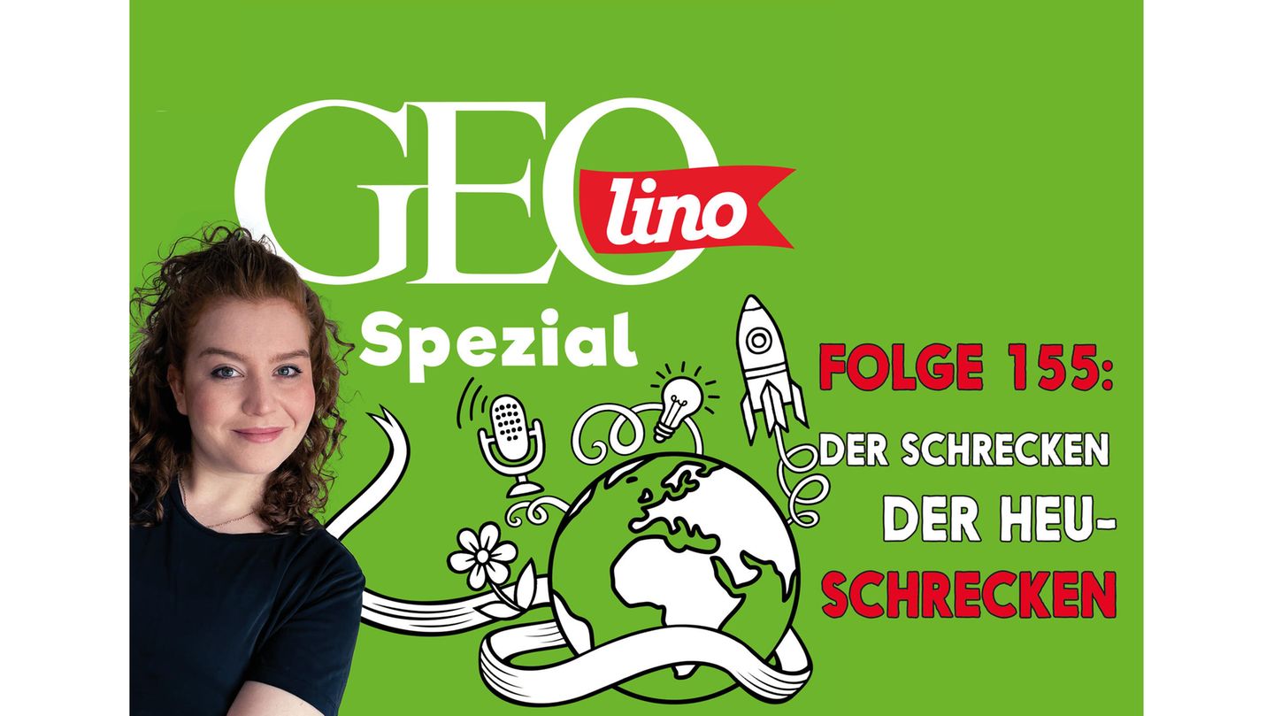Das Thema in Folge 155 unseres Podcast GEOlino Spezial: Heuschrecken