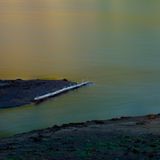 Der Sommer 2018 war sehr trocken, der Wasserstand in den zahlreichen Teichen im Oberharz extrem niedrig. An vielen Stellen war der Grund der Teiche zu sehen. Hier ist ein entasteter Fichtenstamm ans Ufer eines Teichs getrieben