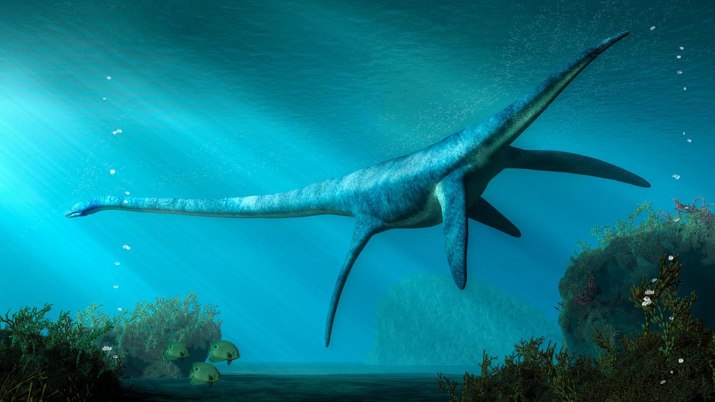 Nessie oder das Monster von Loch Ness wird beschrieben wie ein Plesiosaurier Nessie oder das Monster von Loch Ness wird beschrieben wie ein Plesiosaurier