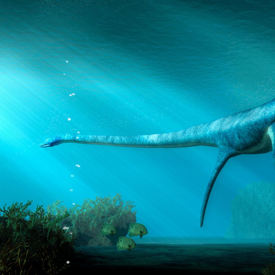 Nessie oder das Monster von Loch Ness wird beschrieben wie ein Plesiosaurier