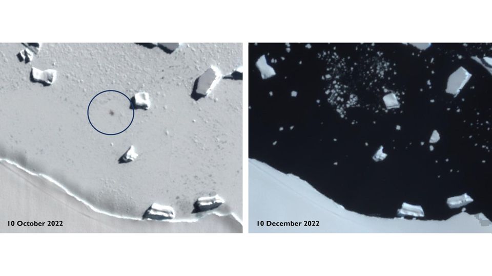Antarktis: Satellitenbilder zeigen Smyley Island am 10. Oktober 2022 (l) und am 10. Dezember 2022. Der Kreis markiert den Standort einer Kaiserpinguin-Kolonie
