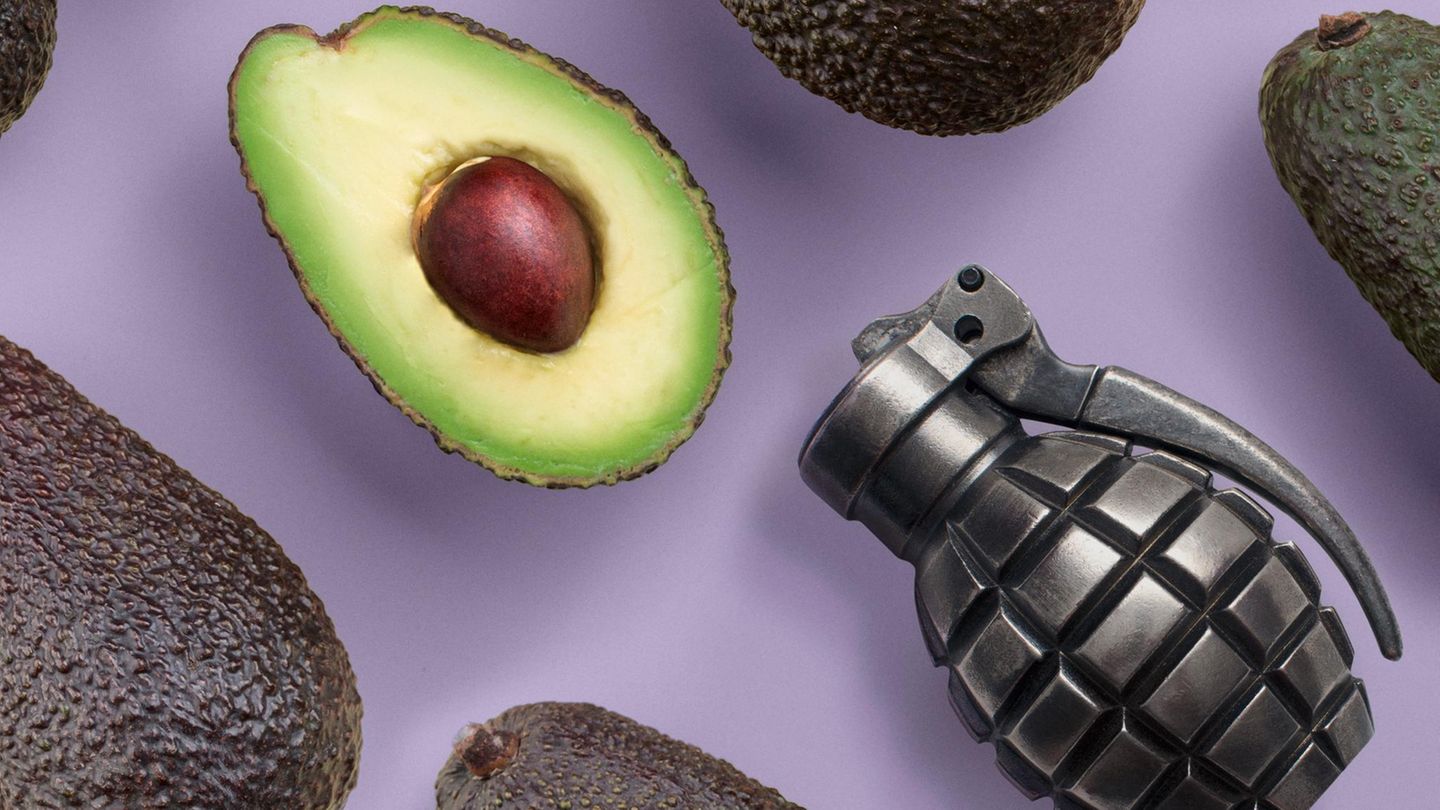 Drogenkartelle führen einen blutigen Krieg um die Avocado [GEO]