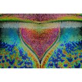 Ein Trichter voll Schönheit