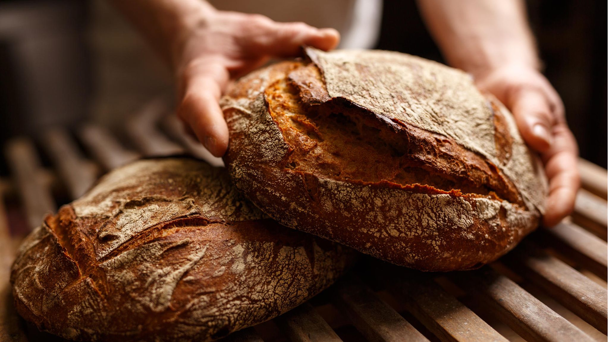 Das Klebereiweiß im Brot führt bei rund einem Prozent der Bevölkerung zu Unverträglichkeiten. Für sie ist die unüberlegte Wahl beim Bäcker ein Risiko für das körperliche Wohlbefinden 