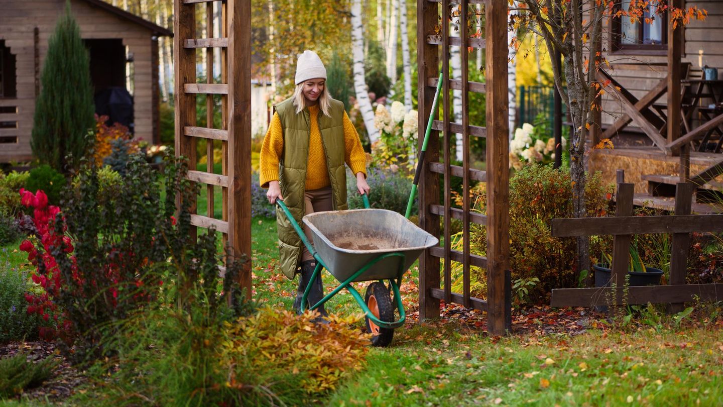 Gartenarbeit im September