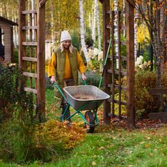 Gartenarbeit im September