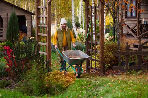 Gartenarbeit im September