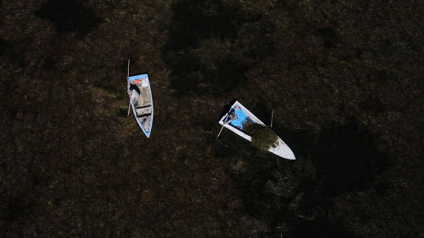 Boote auf dem Trockenen