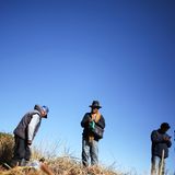 Anwohner sammeln Pflanzen am Titicacasee