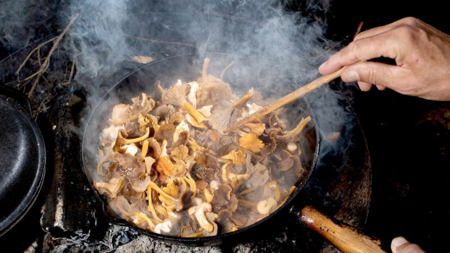 Genau prüfen, was da in die Pfanne wandert: Wer im Wald Pilze gesammelt hat, sollte sich absichern - zum Beispiel durch die Eins