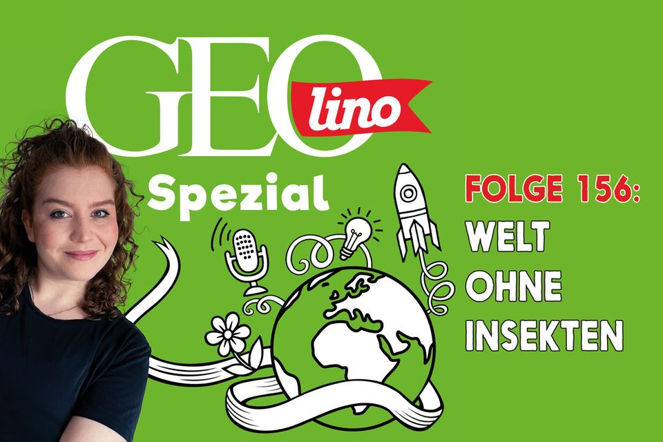 "Welt ohne Insekten" - das Thema in Folge 156 unseres Podcasts GEOlino Spezial