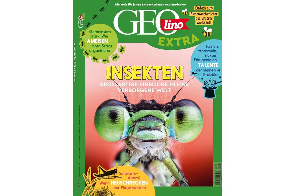 GEOlino EXTRA Nr. 101: Insekten