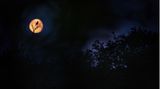 Eine Amsel in Silhouette singt vor hell erleuchtetem vollen Mond inmitten der Nacht.