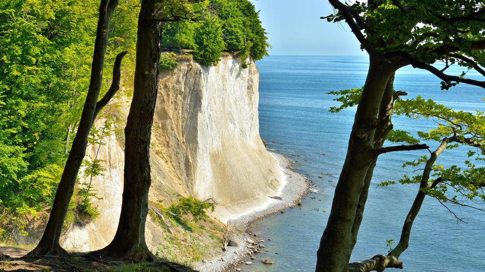 Aussicht durch Bäume vom Hochuferweg Aussicht durch Bäume vom Hochuferweg