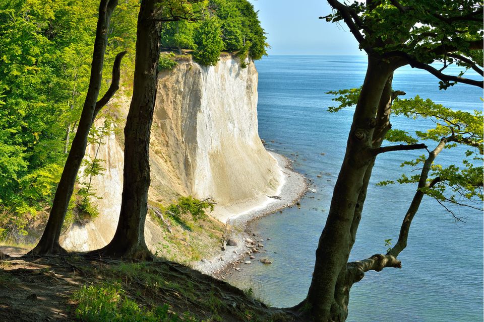 Aussicht durch Bäume vom Hochuferweg