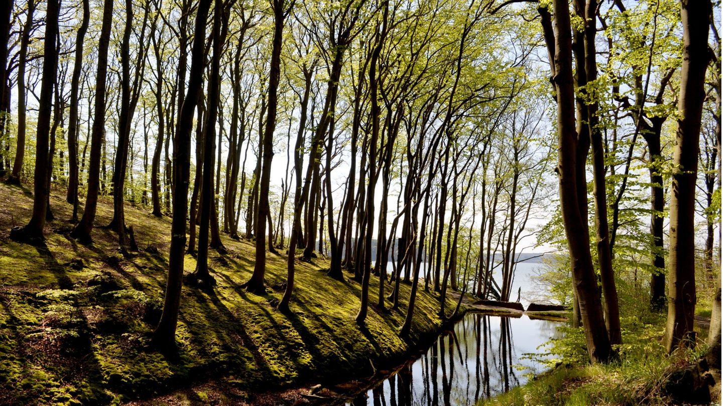 Hochuferweg auf Rügen
