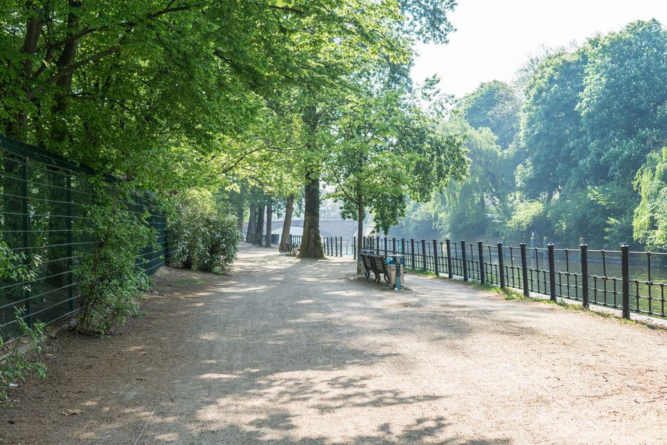 Weg an der Spree in Berlin