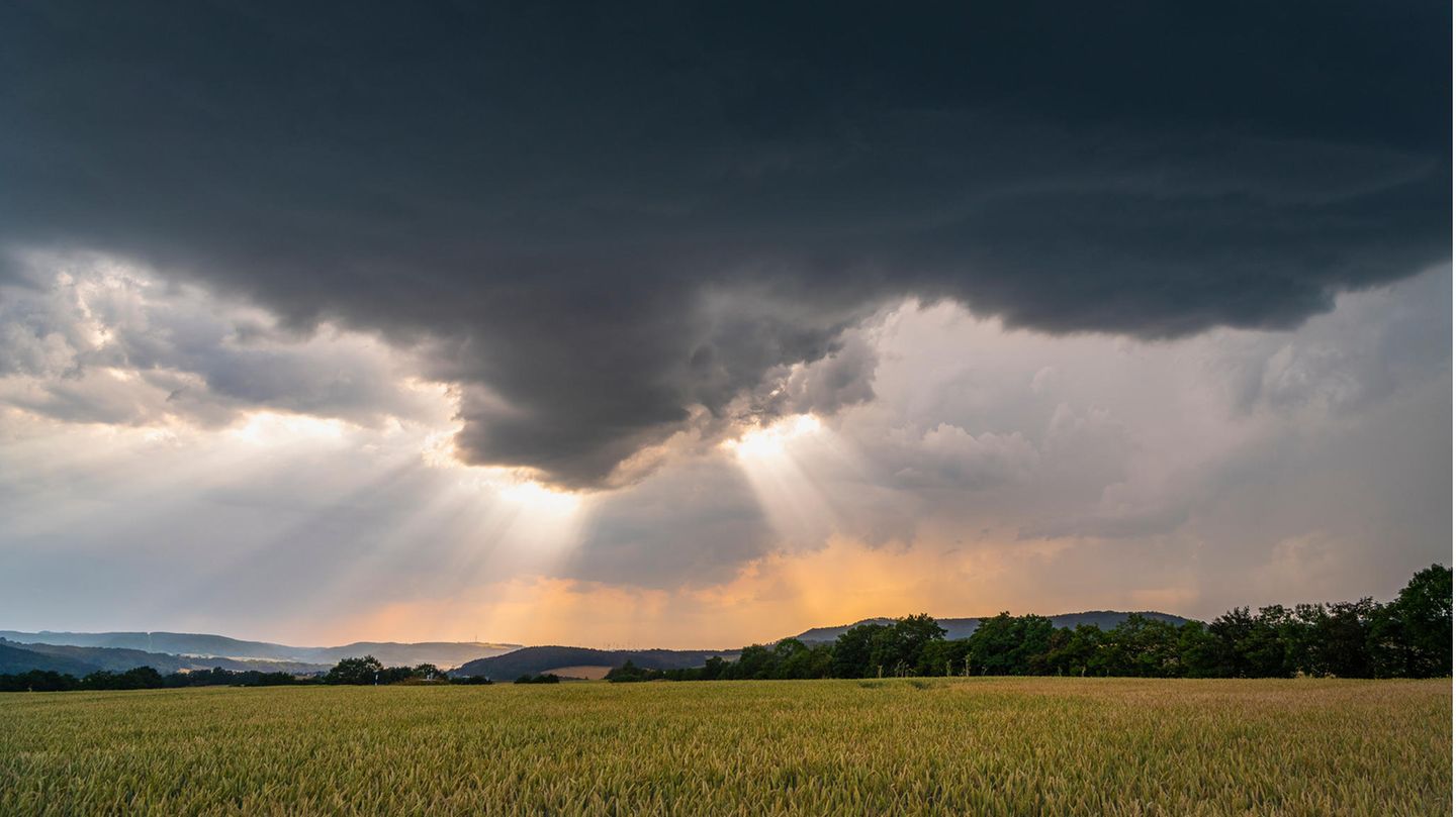 Regenwolken über einem Kornfeld