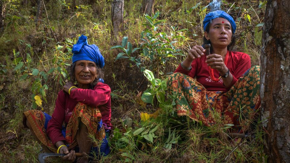 Frauen schneiden im letzten Rest des Gemeindewaldes Gras und Sprösslinge als Viehfutter. Unterholz gibt es daher kaum
