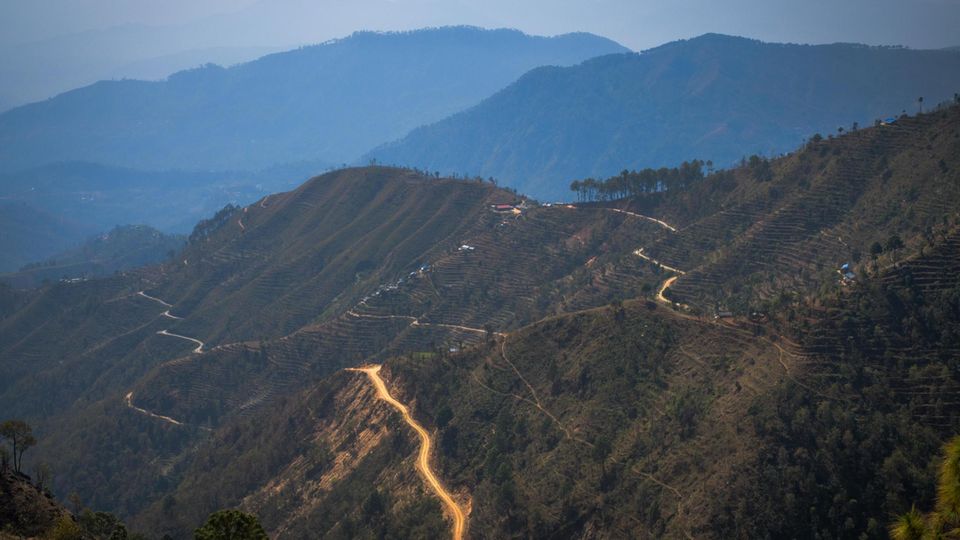 Das Dorf Danda Basaha steht auf einem Kamm, umgeben von abgeholzten Hängen, Reisterrassen sowie von neuen Pisten, welche zu Erdrutschen geführt haben. Innerhalb von fünf Jahren soll hier mit 350.000 Bäumen aufgeforstet werden