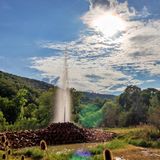 Geysire in vulkanisch besonders aktiven Weltgegenden, darunter Island, sind bei Touristen beliebt. Während die meisten Fontänen durch heißes Wasser aus der Tiefe angetrieben werden, ist der Geysir von Andernach ein Kaltwassergeysir – und der weltweit größte dazu. Wie bei einer geschüttelten und schnell geöffneten Sprudelflasche schäumt das natürliche, im Untergrund gelöste Kohlendioxid auf und treibt das Wasser explosionsartig bis zu 60 Meter in die Höhe. Ein Spektakel, das etwa alle zwei Stunden zu bestaunen ist – und dann jeweils rund acht Minuten dauert.
