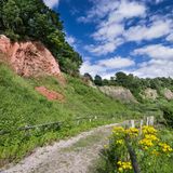 Nur wenige Kilometer südlich von Elmshorn wartet Schleswig-Holstein, das eher für flache Marschen und eiszeitliche Ablagerungen bekannt ist, mit einer geologischen Besonderheit auf. Etwas südlich der Stadt Elmshorn, im Gebiet der ehemaligen Liether Kalkgrube, drückte ein mächtiger Salzstock das uralte, über ihm liegende Gestein kilometerweit in die Höhe. So kommt es, dass man in dem heutigen Naturschutzgebiet auf Augenhöhe mit 260 Millionen Jahre altem rötlichen Gestein wandert. Dank der besonderen Bodenverhältnisse und des Mikroklimas in der Grube finden sich hier Pflanzen, darunter Orchideen, die andernorts in Schleswig-Holstein fehlen oder selten sind.