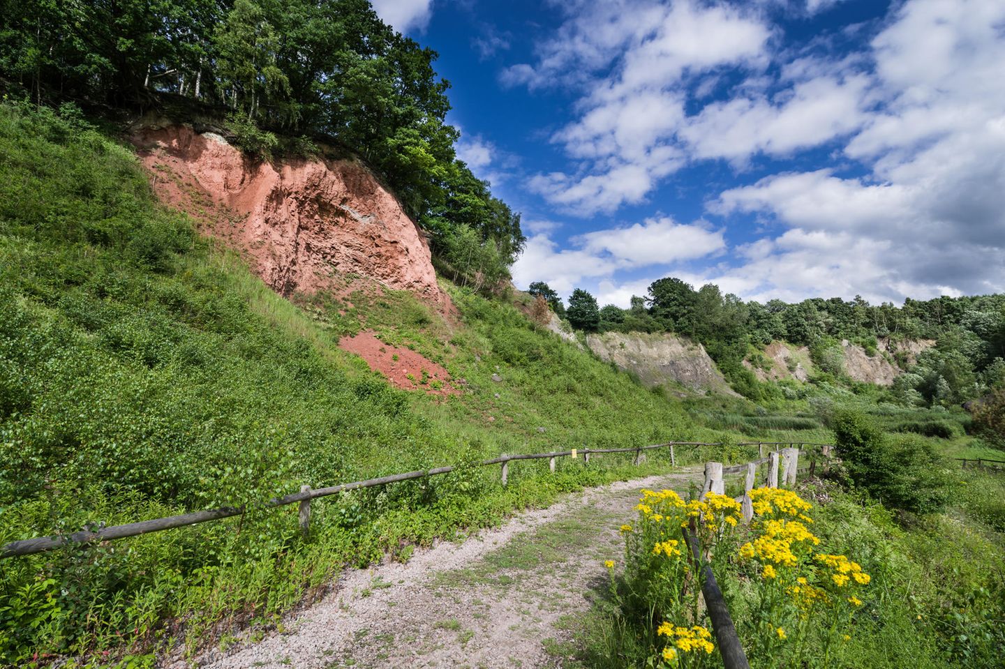Liether Kalkgrube (Schleswig-Holstein) Nur wenige Kilometer südlich von Elmshorn wartet Schleswig-Holstein, das eher für flache Marschen und eiszeitliche Ablagerungen bekannt ist, mit einer geologischen Besonderheit auf. Etwas südlich der Stadt Elmshorn, im Gebiet der ehemaligen Liether Kalkgrube, drückte ein mächtiger Salzstock das uralte, über ihm liegende Gestein kilometerweit in die Höhe. So kommt es, dass man in dem heutigen Naturschutzgebiet auf Augenhöhe mit 260 Millionen Jahre altem rötlichen Gestein wandert. Dank der besonderen Bodenverhältnisse und des Mikroklimas in der Grube finden sich hier Pflanzen, darunter Orchideen, die andernorts in Schleswig-Holstein fehlen oder selten sind.