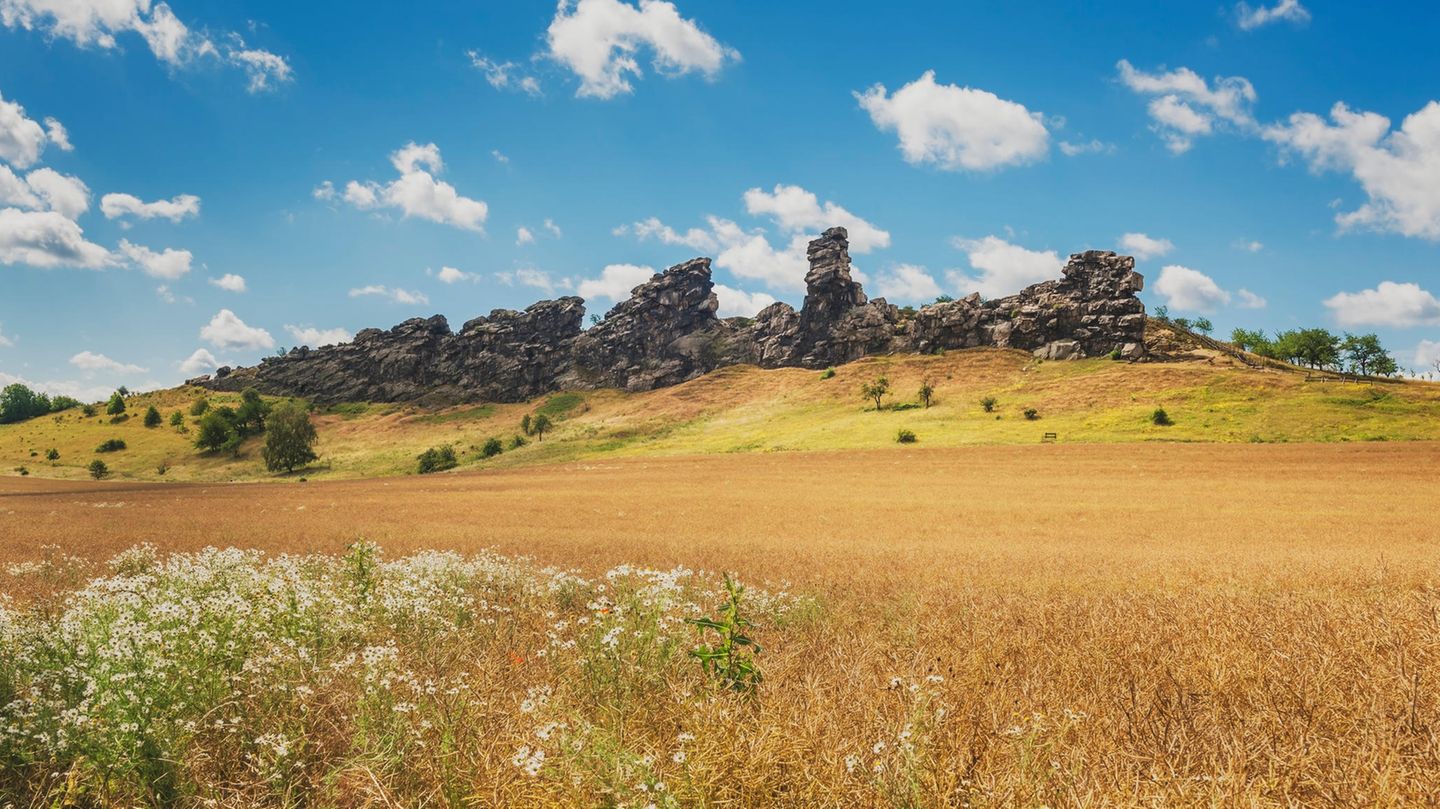 Urheber der Kalksteinmauer im nördlichen Vorland des Harzes ist nicht, wie der Name suggeriert, der Teufel. Sondern die Tektonik im Untergrund. Die imposanten Sandstein-Klippen, die scheinbar unvermittelt aus der Landschaft aufragen, haben ihren Ursprung in unterirdischen Prozessen, die die Millionen Jahre alten Gesteine an die Oberfläche gedrückt haben. Einige Abschnitte der 20 Kilometer langen Mauer, Königstein, Mittel- und Papensteine südlich und südwestlich von Weddersleben, stehen seit 1935 unter Naturschutz. Sie sind Teil des Unesco Geoparks Harz – Braunschweiger Land – Ostfalen.