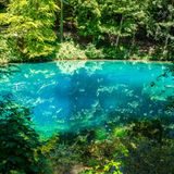 Die Blaubeurer Alb und das Urdonautal sind geprägt von markanten Karstformen wie Höhlen, tief eingeschnittenen Trockentälern, Karstfelsen und unzähligen Dolinen und großen Karstquellen, darunter der berühmte Blautopf in Blaubeuren (Foto).