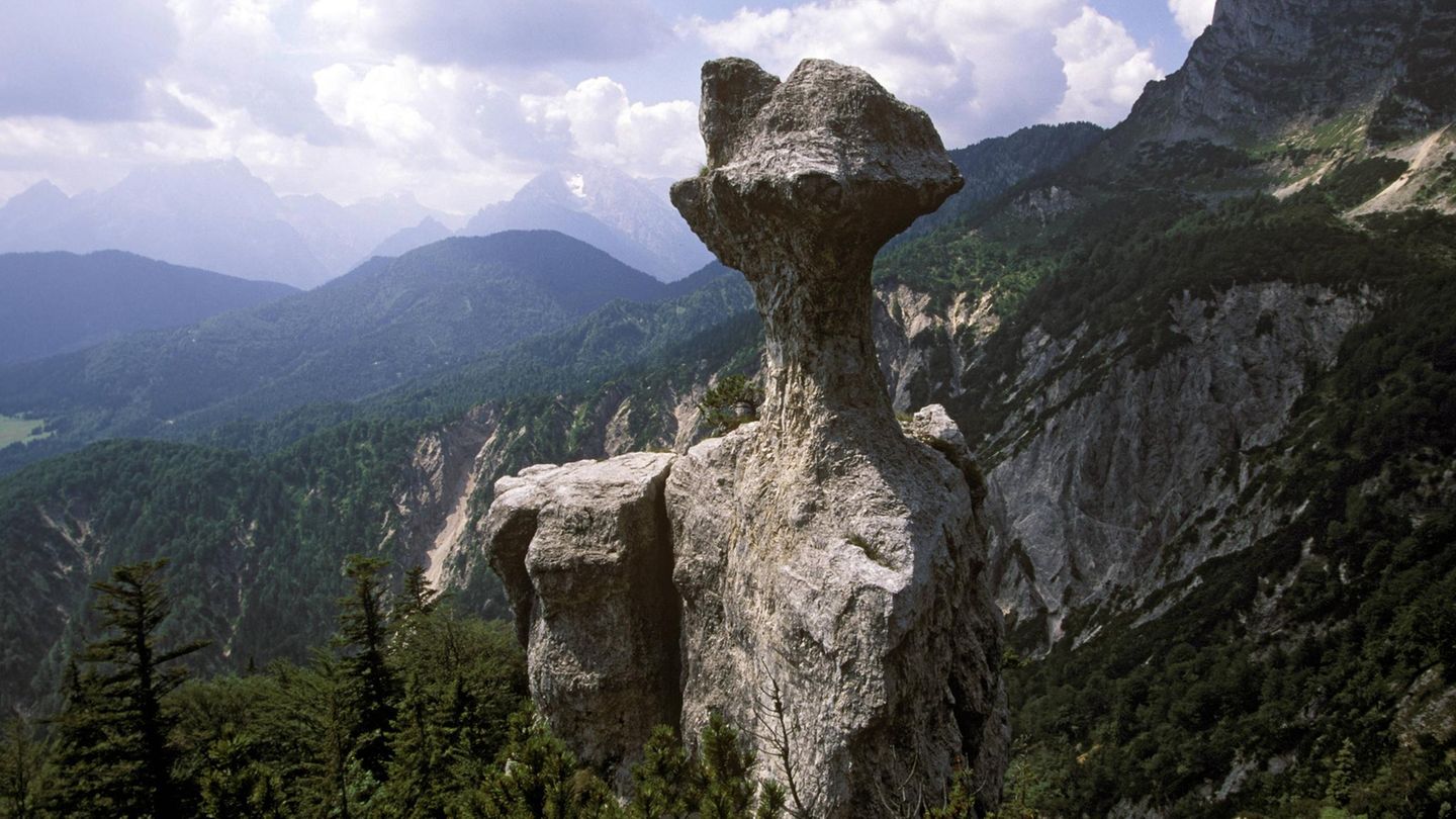 Steinerne Agnes (Bayern) Die Steinerne Agnes ist ein etwa zehn Meter hoher Felsturm mit pilzförmigem Kopf an der Südostflanke des Lattengebirges im Berchtesgadener Land. Die menschenähnliche Figur ist das Ergebnis von Verwitterungsprozessen: Der Hut und der Sockel des Felsens bestehen aus kalkreicheren Gesteinen und sind daher widerstandsfähiger gegen Witterungseinflüsse als der verbindende Stiel aus weicherem Dolomit.