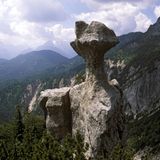 Die Steinerne Agnes ist ein etwa zehn Meter hoher Felsturm mit pilzförmigem Kopf an der Südostflanke des Lattengebirges im Berchtesgadener Land. Die menschenähnliche Figur ist das Ergebnis von Verwitterungsprozessen: Der Hut und der Sockel des Felsens bestehen aus kalkreicheren Gesteinen und sind daher widerstandsfähiger gegen Witterungseinflüsse als der verbindende Stiel aus weicherem Dolomit.