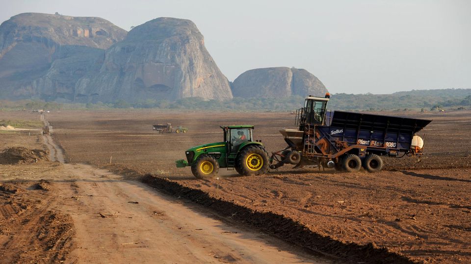Angola vergibt riesige Landflächen an Investoren – hier ein Gebiet, auf dem die brasilianische Firma Odebrecht Zuckerrohr für Bioethanol anbaut