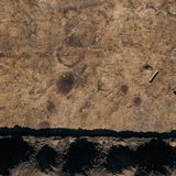 Diese Grabungsfläche birgt den Grundriss eines zehn Meter langen und vier Meter breiten Hauses (oben) sowie Grundrisse mutmaßlich handwerklich genutzter Grubenhäuser (unten)