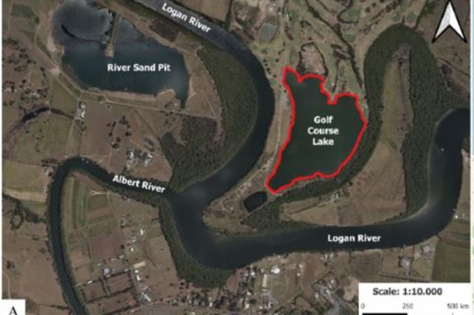 Der Logan River schlängelt sich um den Golfplatz - und überflutet ihn in regelmäßigen Abständen