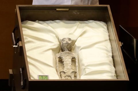 Der angebliche Leichnam des Außerirdischen sei versteinert, weil er laut den Ufologen in einer Kieselalgenmine gefunden worden sei