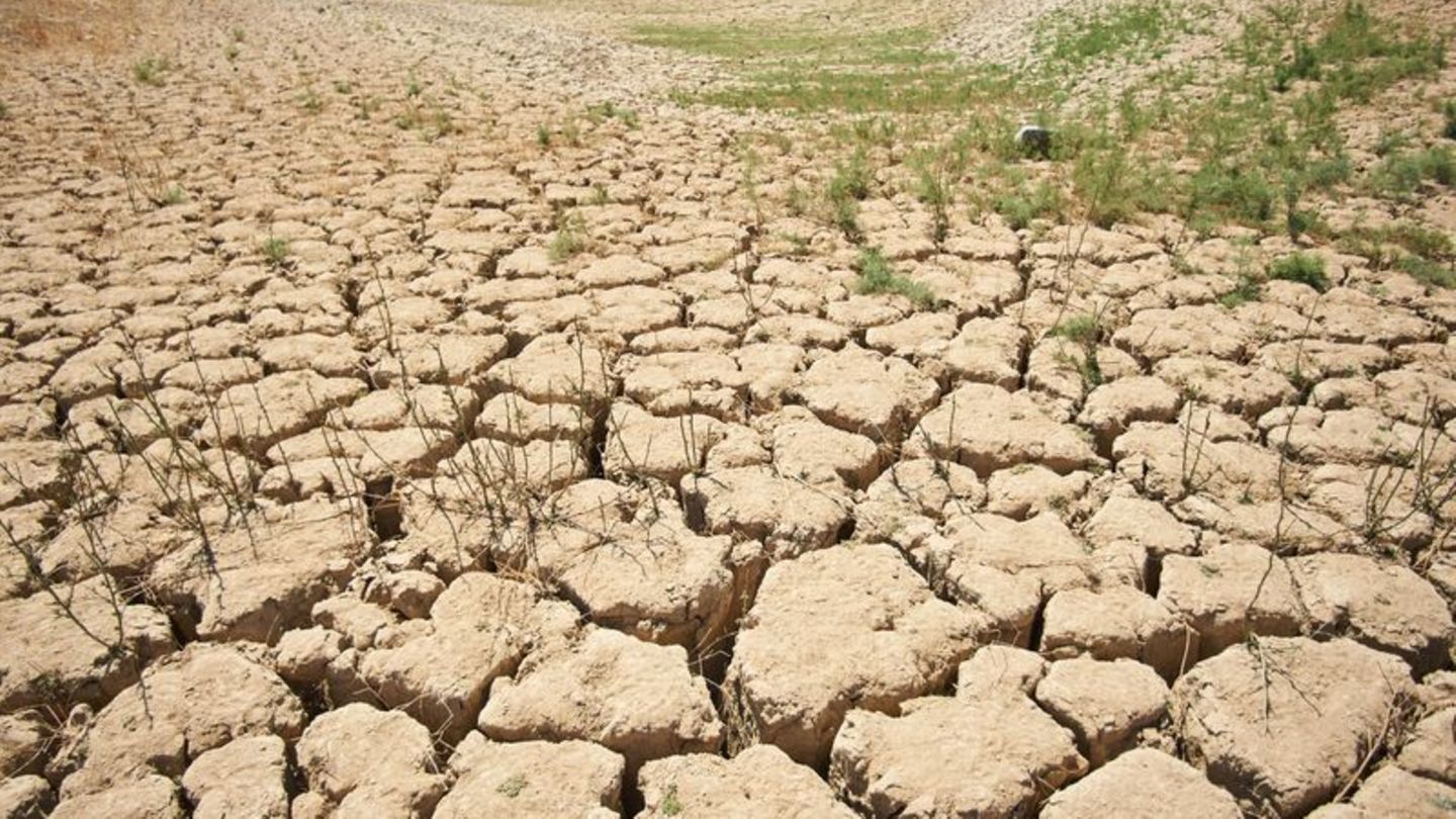 Ein Symptom des schlechten Zustands der Erde: von der Trockenheit zerklüftete und aufgerissene Erde an den Ufern des Viñuela-Sta