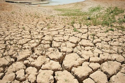 Ein Symptom des schlechten Zustands der Erde: von der Trockenheit zerklüftete und aufgerissene Erde an den Ufern des Viñuela-Sta