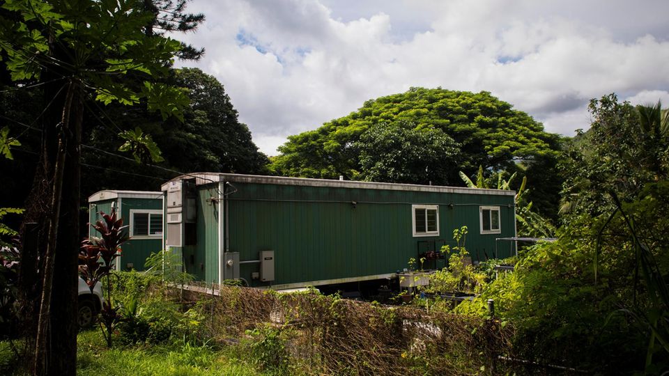 Artensterben: In Wohnwagen auf Oahu halten die Forschenden 35 endemische Schneckenarten am Leben – viele sind der freien Natur bereits ausgestorben In Wohnwagen auf Oahu halten die Forschenden 35 endemische Schneckenarten am Leben – viele sind der freien Natur bereits ausgestorben