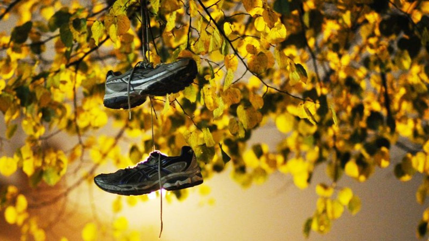 Sportschuhe hängen im Baum mit Herbstlaub