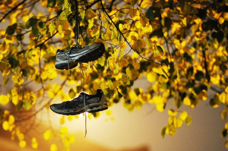 Sportschuhe hängen im Baum mit Herbstlaub