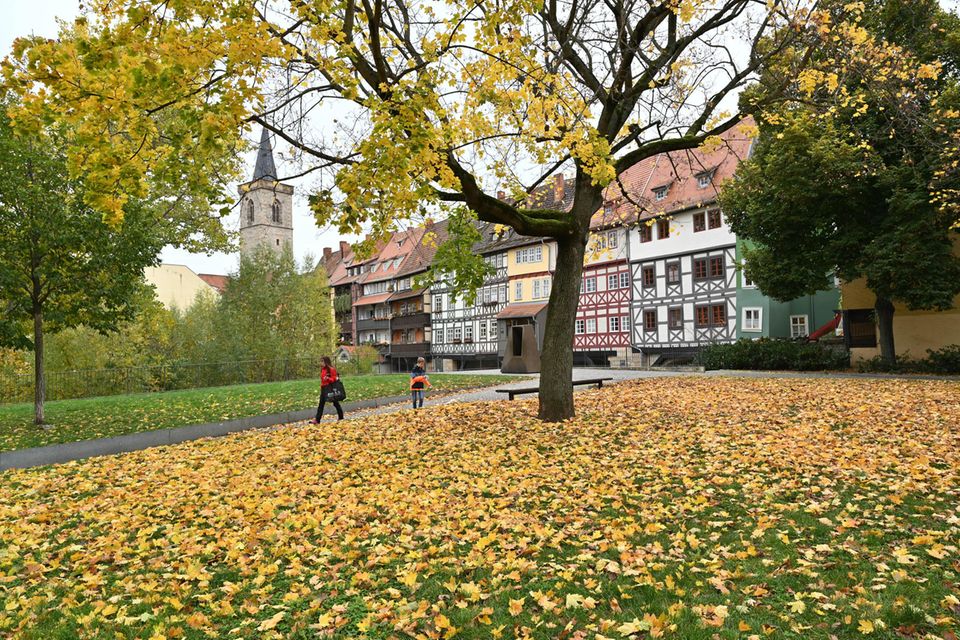 Erfurt wurde für die Spuren, die das jüdische Leben im Mittelalter in der Stadt hinterlassen hat, zum Unesco-Welterbe geadelt  1.5026