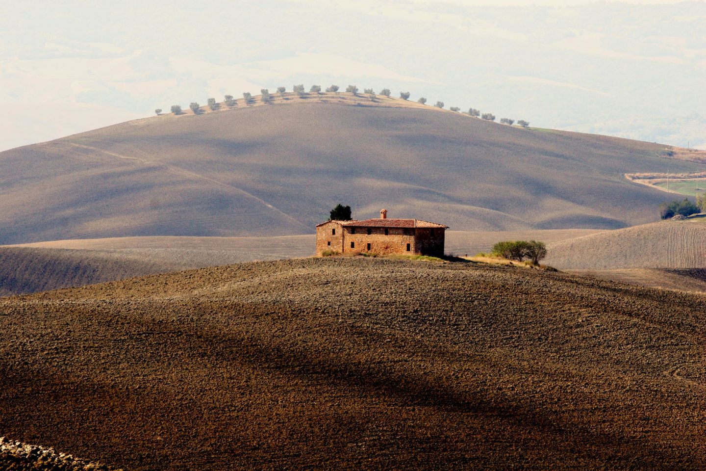Typische Landschaft der Toskana