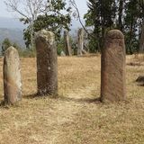 Megalithdenkmäler stehen zwischen Bäumen